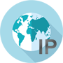 Comprobador de Ip de dominio